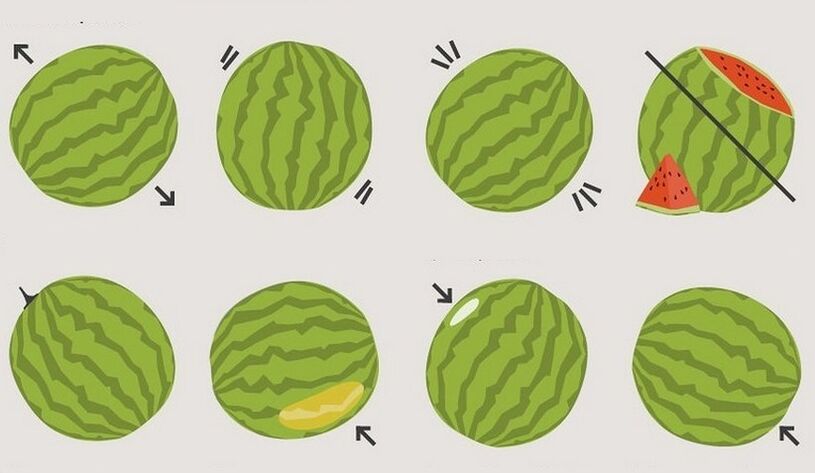 Comment choisir une pastèque